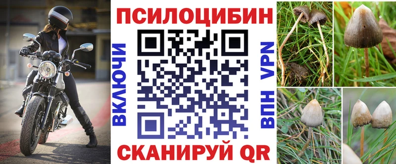 omg рабочий сайт Суворов Псилоцибиновые грибы Cubensis где можно купить наркотик
